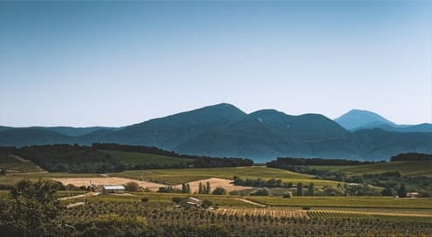 Clos Bellane