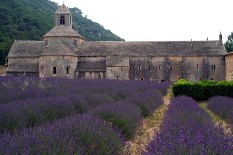 Sénanque Abbey