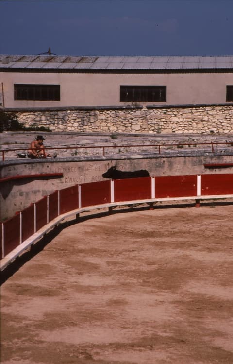 Arènes Chomel Coinon
