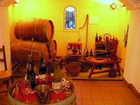 Musée du Vin