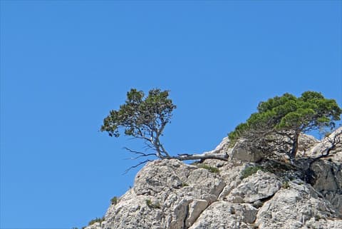 La Calanque