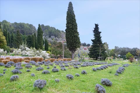 Les Jardins du Musée International de la Parfumerie