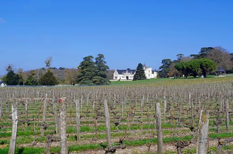 Château du Saix