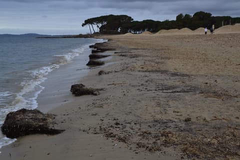 plage Miramar