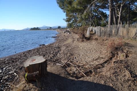 Plage des Salins