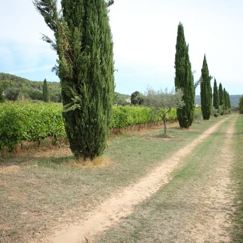 Domaine de Valcolombe