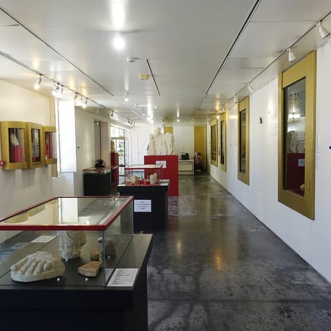 Musée de pays - Archéologie et Paléontologie