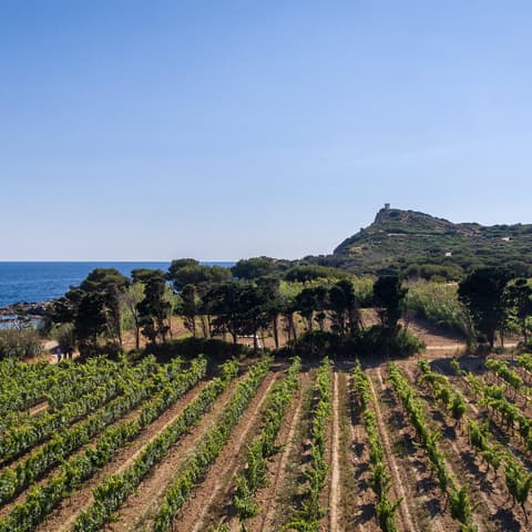 Domaine de l'île