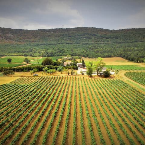 Domaine de la Mongestine