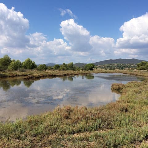 Espace Nature des Salins d'Hyères