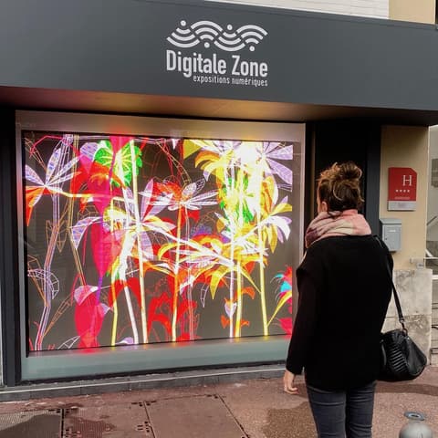 Digitale zone