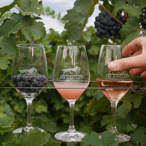 Domaine Jas de Barral