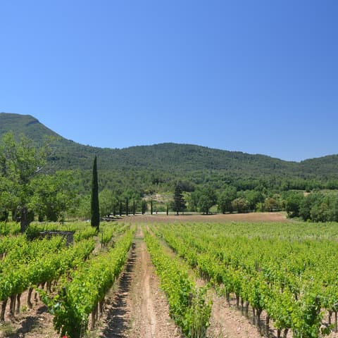 Domaine les Touchines - Château la Giride