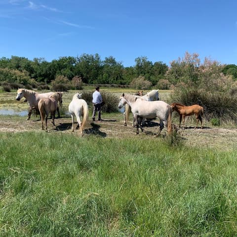 Association Cheval et Nature Ferme de Walbacol