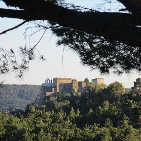 Miellerie des Clos - Labbé Fabrice