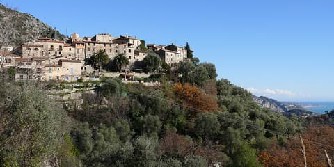 Producteur du Citron de Menton IGP - Au Moulin de Gorbio -