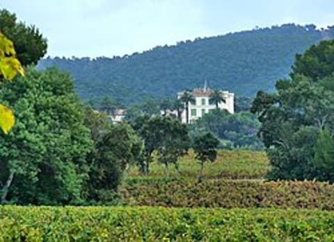 Château de Brégançon Cru Classé