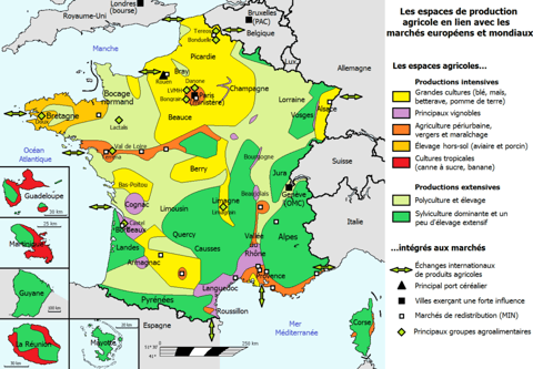 Exploitation Agricole Biologique TRONC Rémi