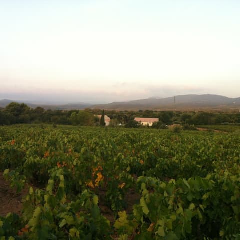 Domaine Croix Rousse