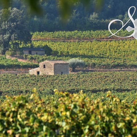 Domaine Roux