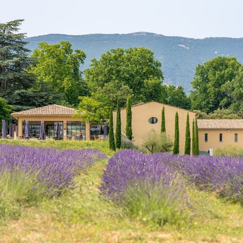 Marrenon, Vignobles en Luberon et Ventoux