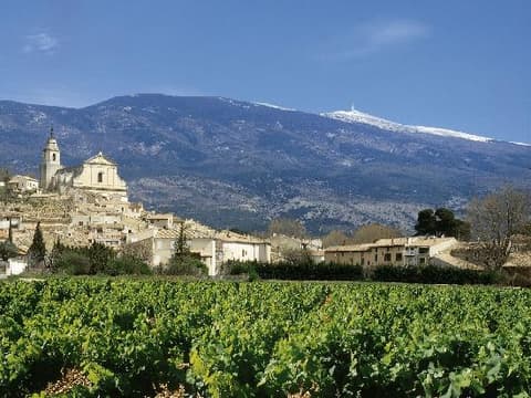 VMV - Les Vignerons du Mont Ventoux