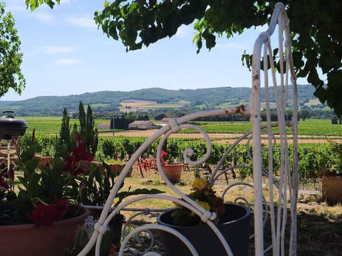 Maison l'Hérine - Cave de Visan