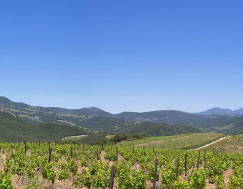 Domaine Famille Manganelli