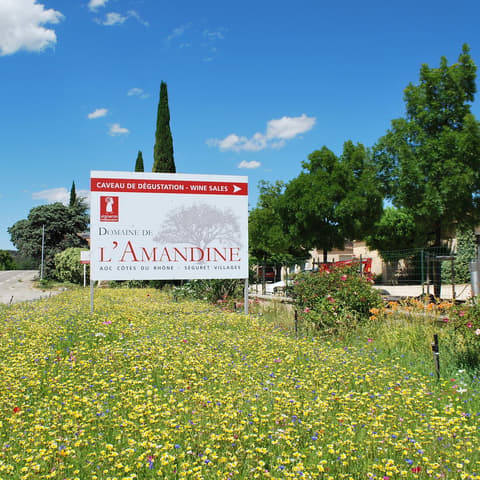 Domaine de l'Allamande