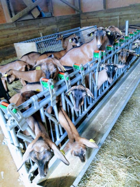 Ferme de Pic Ponçon