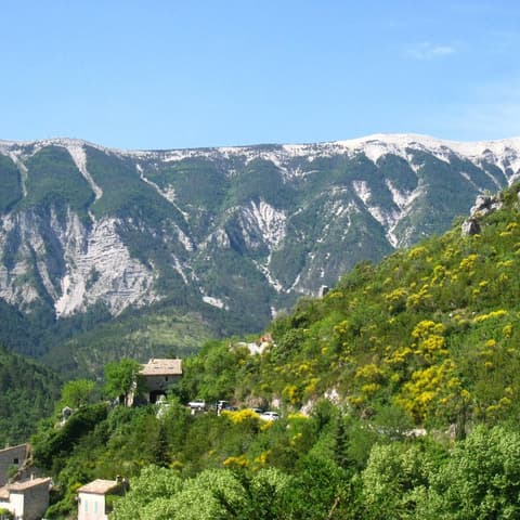 Parc et Jardin du Château de Brantes