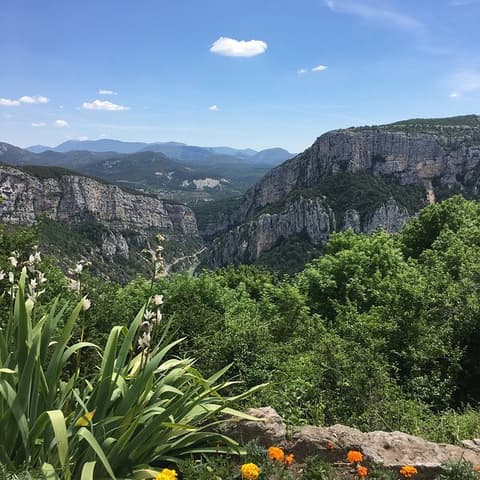 Les abeilles de Lucie