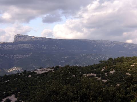 Abeilles et miel de la Sainte Baume