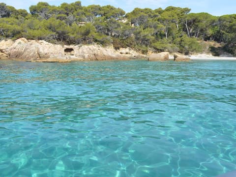 Jack MartinS Aventure - excursions maritimes, observation des cétacés