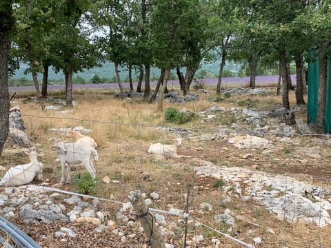 Ferme La Maguette