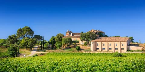 Domaine Rostangue