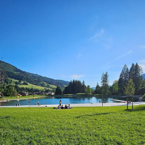 Accrobranche du plan d'eau