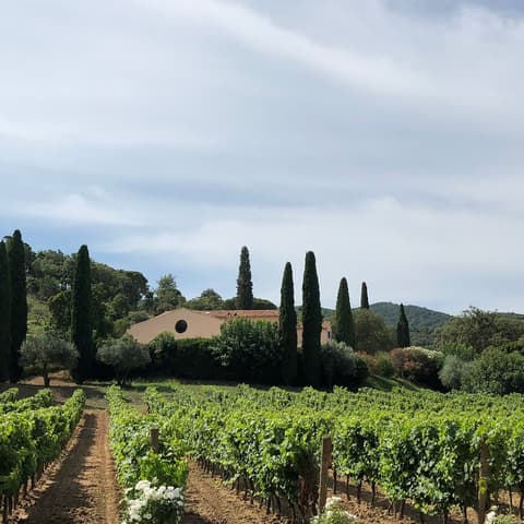 Domaine viticole du Bourrian