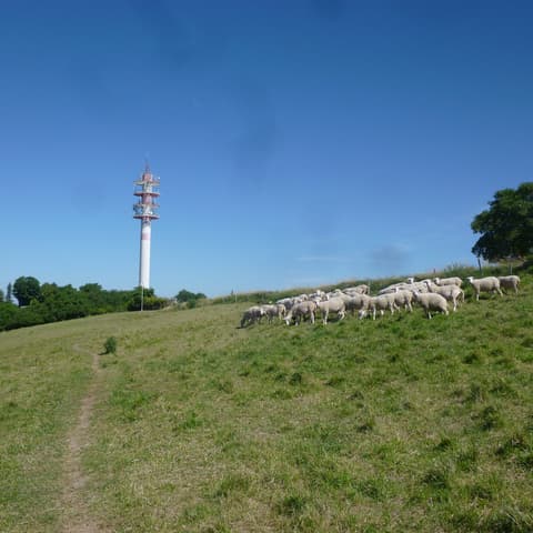 La Colline des Lutins