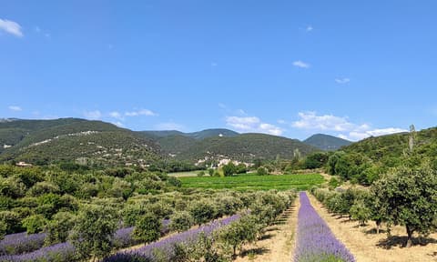 Domaine de Lamanois