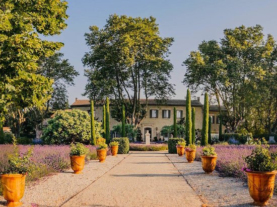 Domaine Salvator