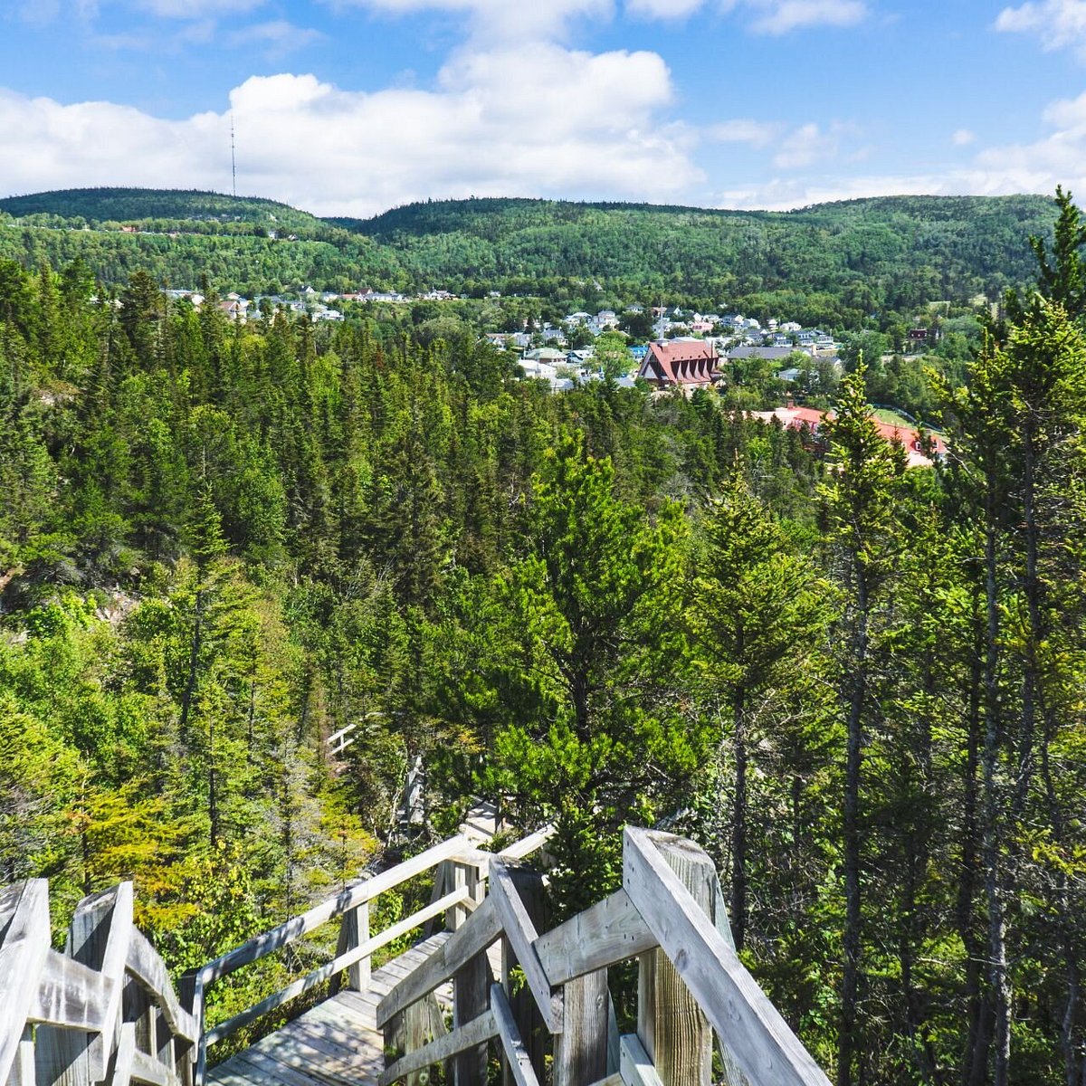 Point de vue de "La Colline"
