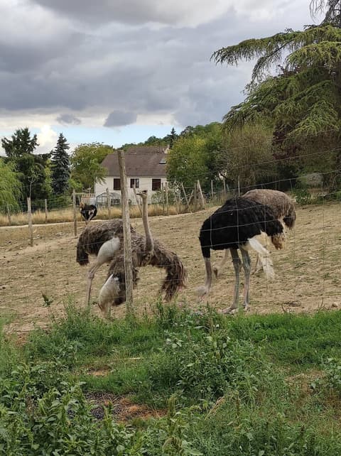 La Ferme du Bon Pommier