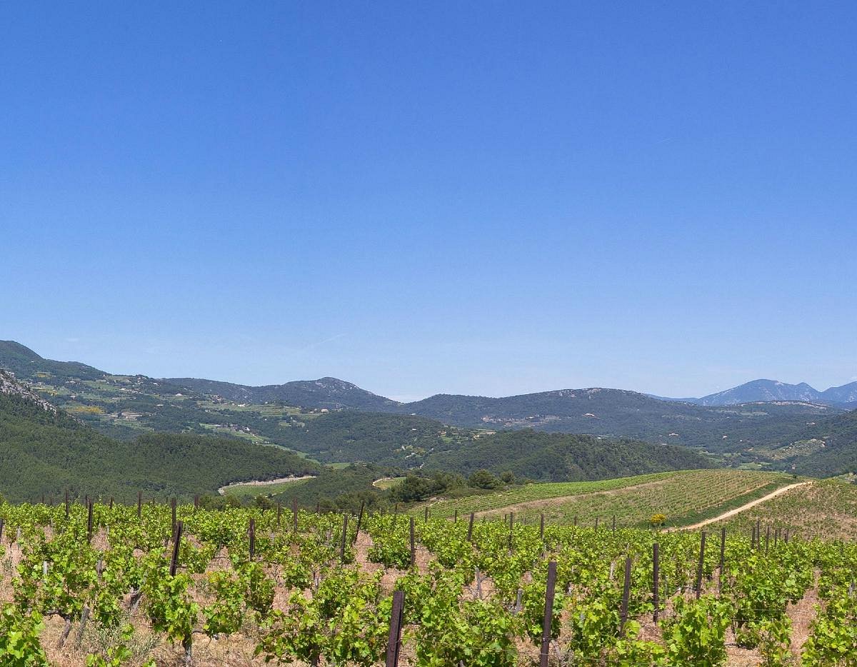 Domaine des Coteaux des Travers