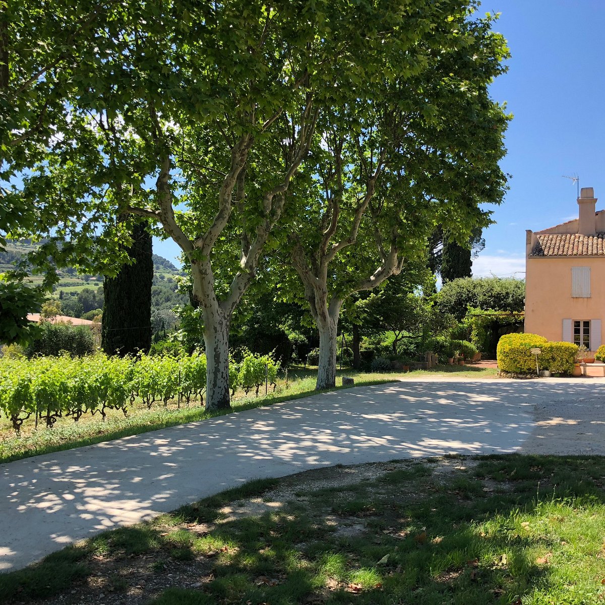 Domaine Tempier