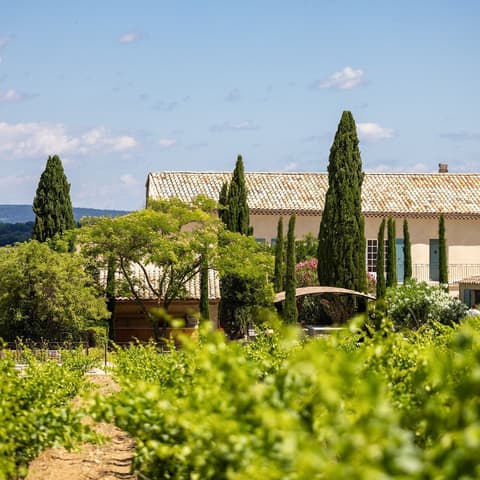 Domaine de Bouchony, sur l'île de la Barthelasse