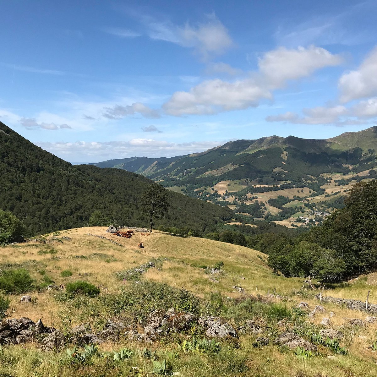 Colle du Monjoun