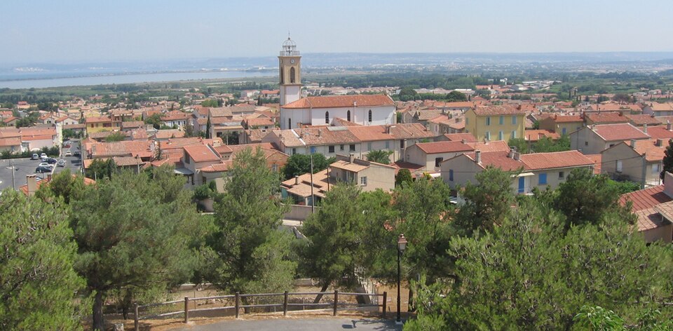 Figuier (Baume du)