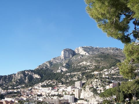 Tete de Cornet