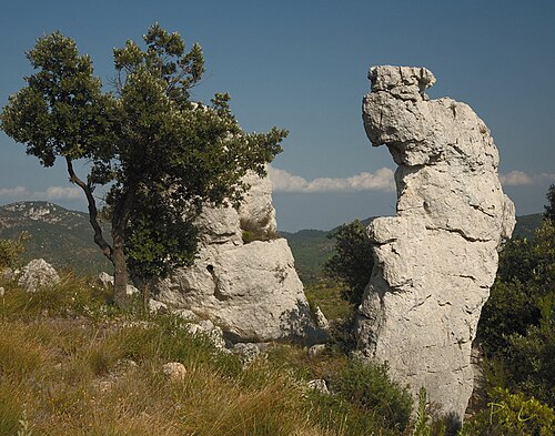 L'Amarron